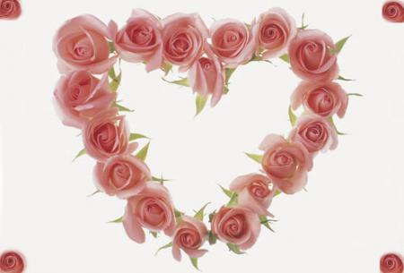 fleurs